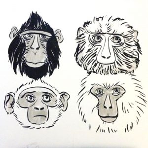 Plant Plus Animal: Macaques