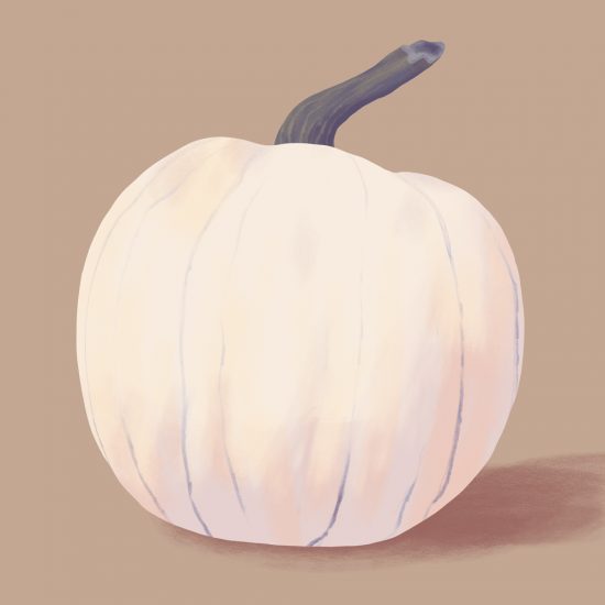 Lumpina pumpkin illustration (Cucurbita maxima)