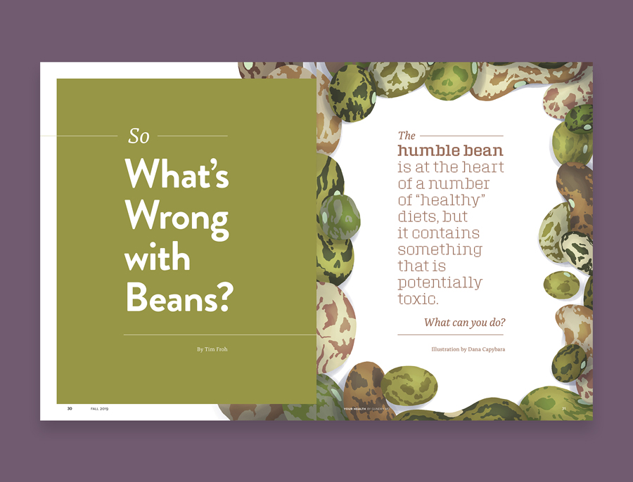 Beans: Illustration opener