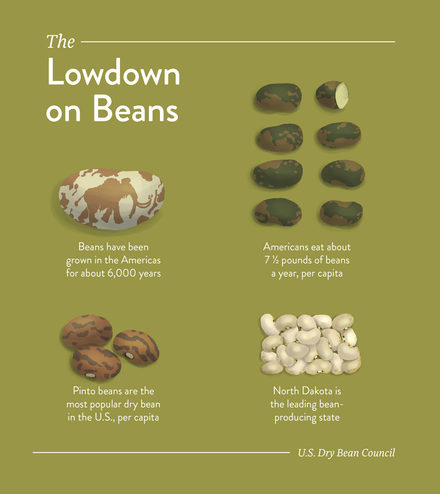 Beans: Sidebar