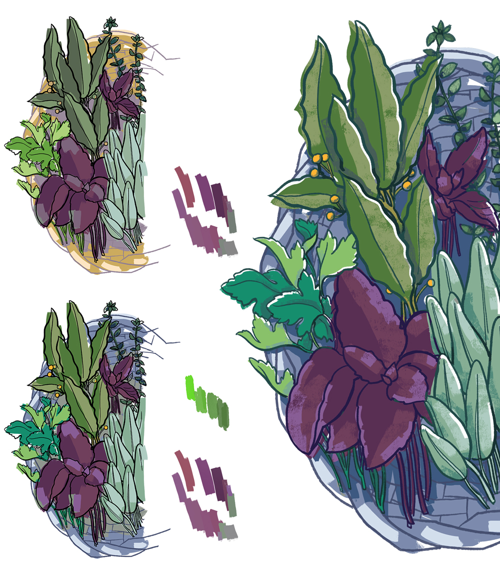 Herb Garden: Basket Illustration Colors