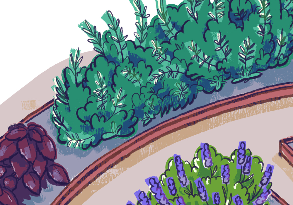 Herb Garden: Garden Plan Illustration Detail 3