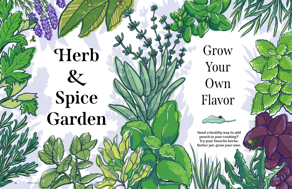 Herb Garden: Opener Illustration