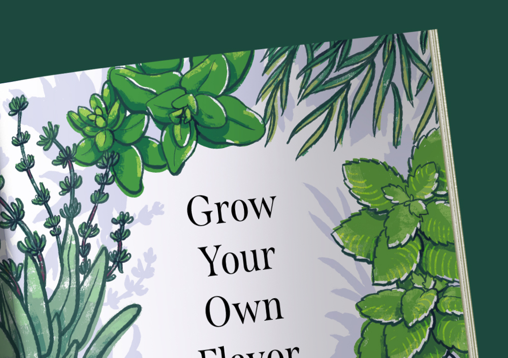 Herb Garden: Opener Illustration Detail 1